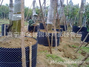 批发苗木专用控根器 控根快速育苗容器选购指南与厂商推荐