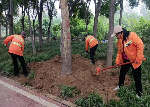 秋季移植添新绿，精细养护焕新颜 树木种植指南